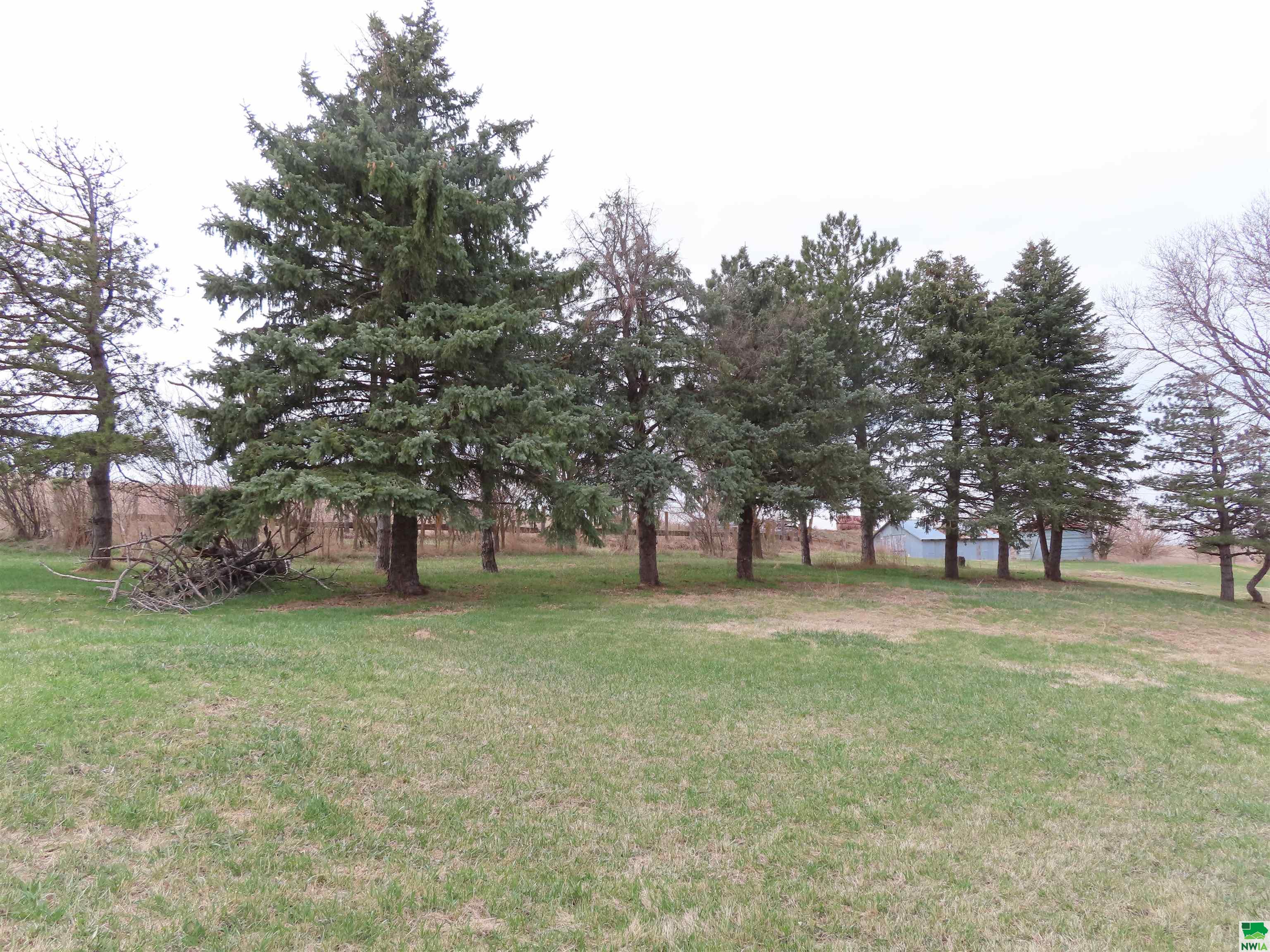 MLS #828208
