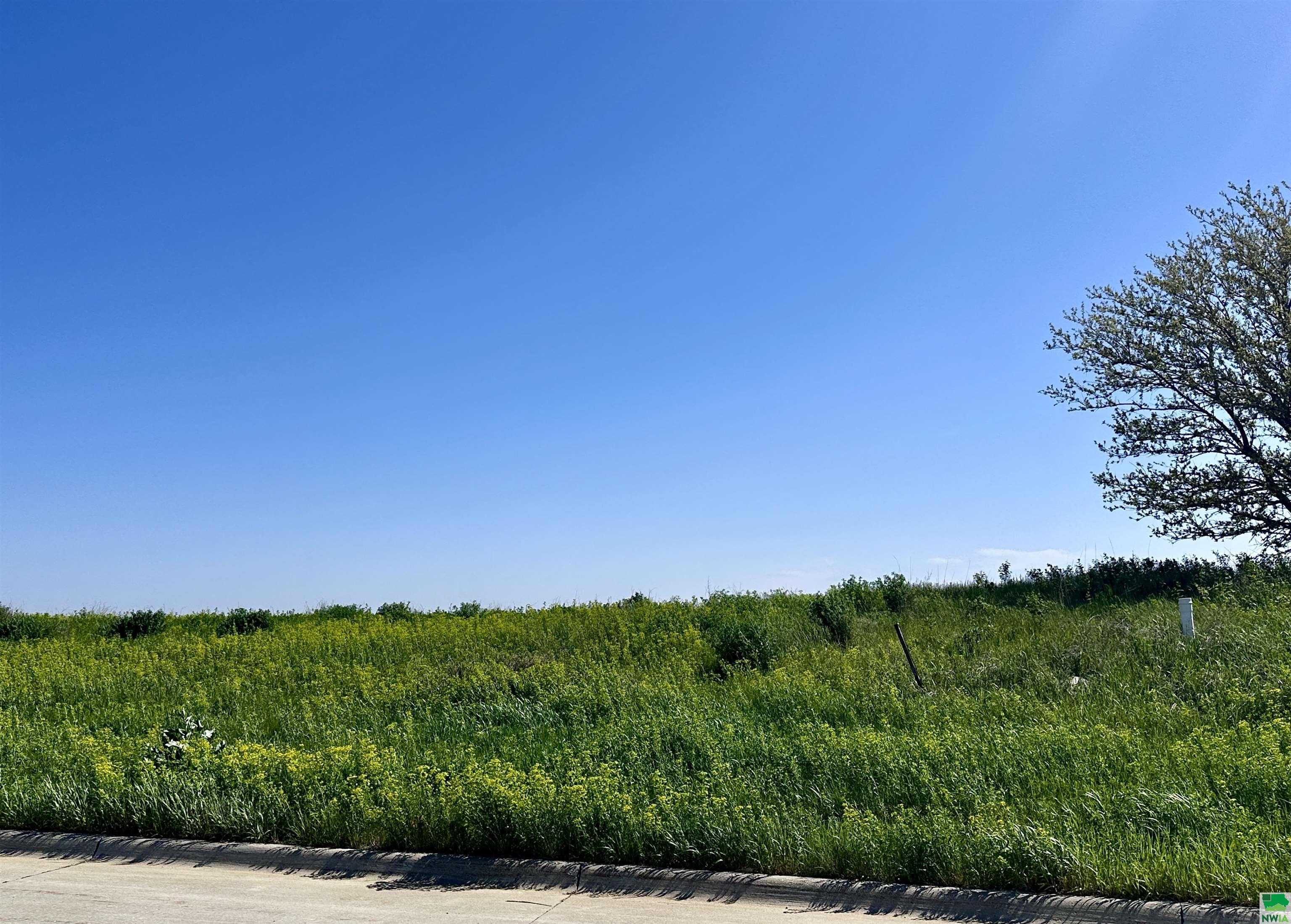 Lot 11 Tucker Hill Drive, Hinton, IA 51024 