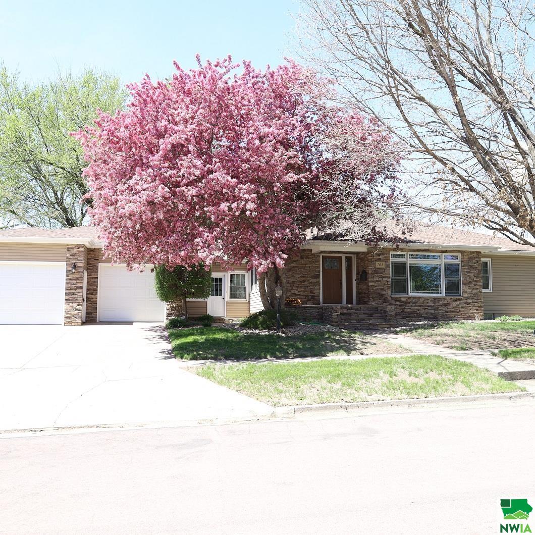 703 Adams St S, Rock Rapids, IA 51246 