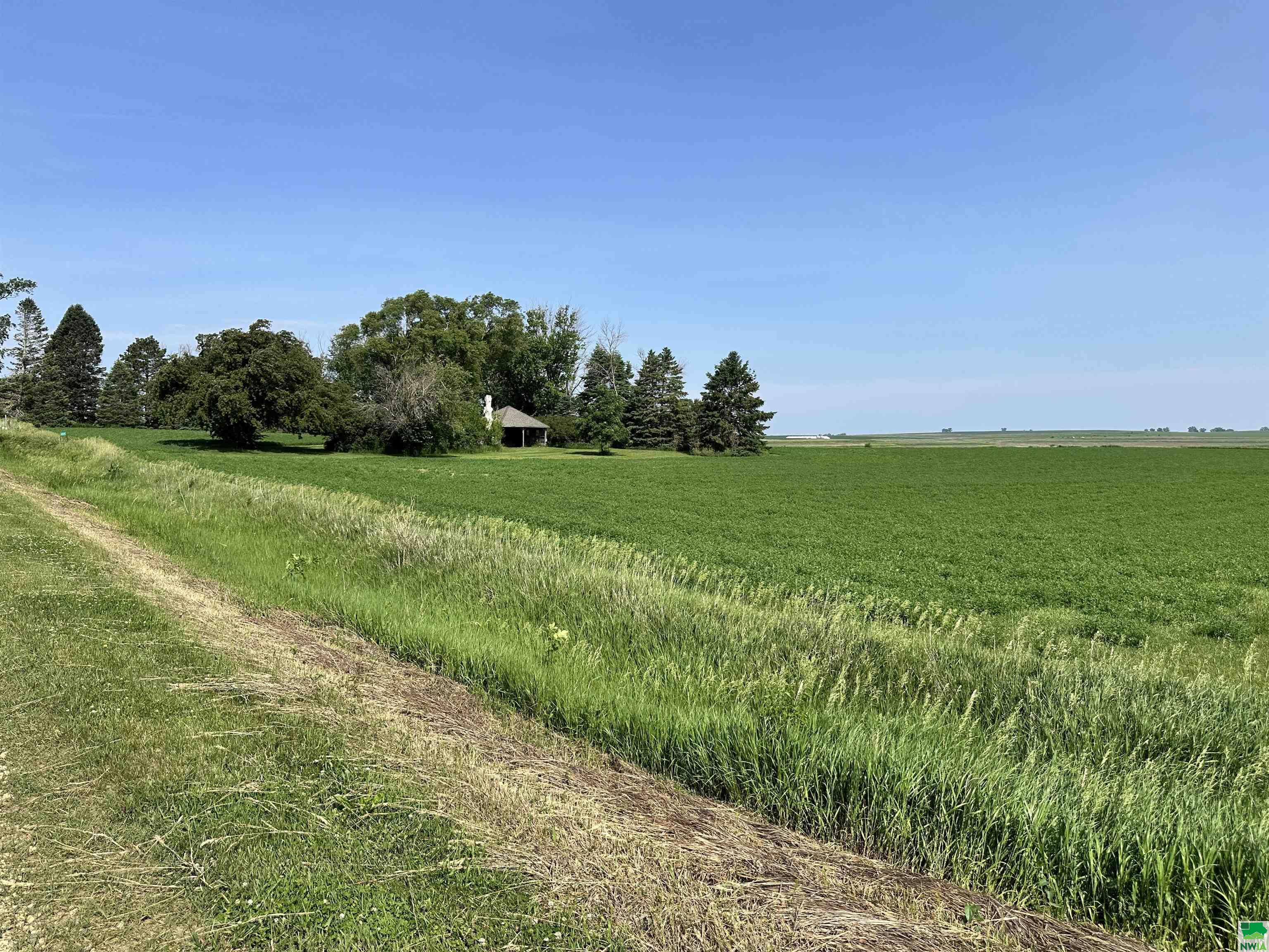655 580th St, Cleghorn, IA 51014 