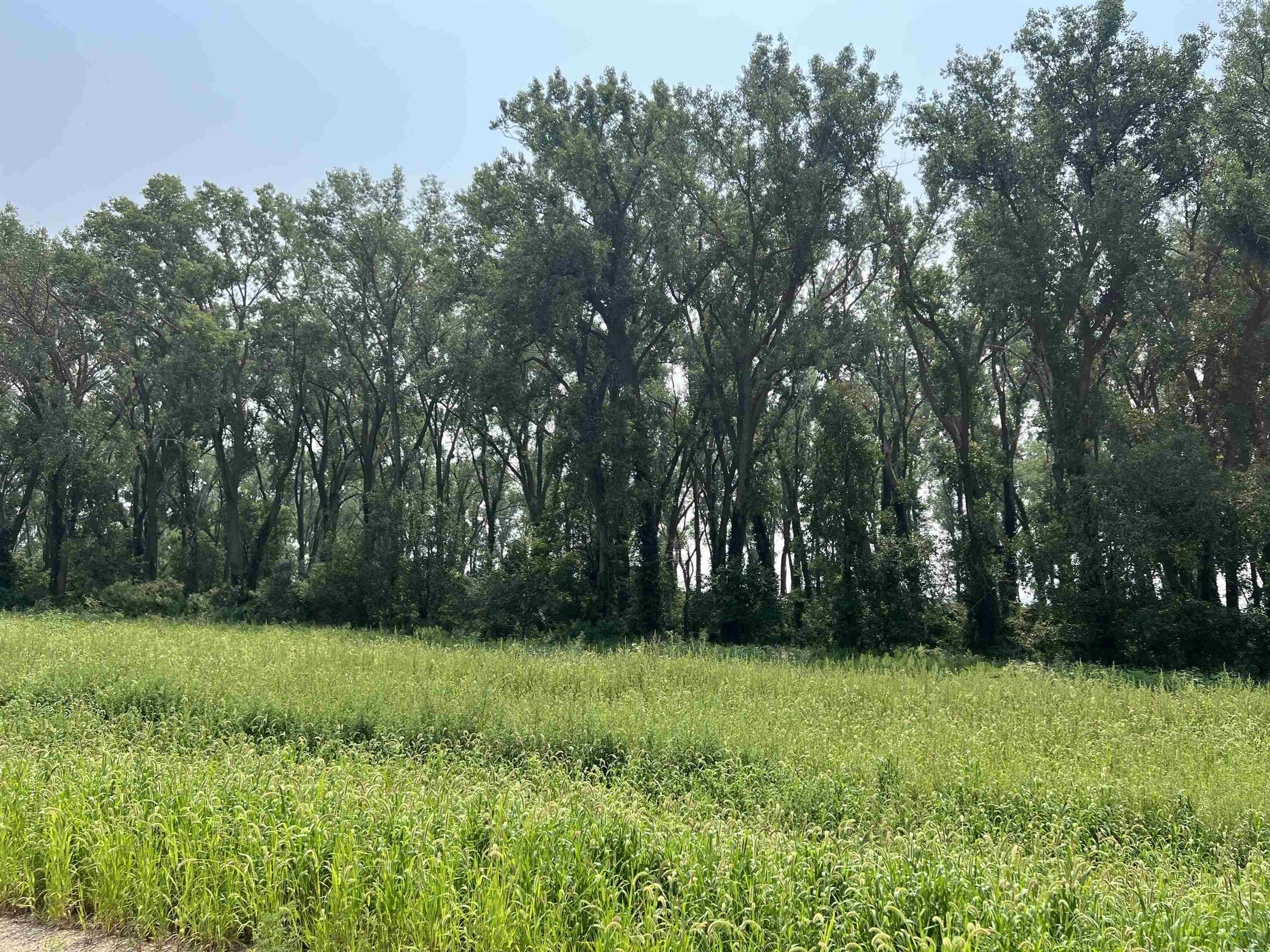 46047 Daniel Place, Vermillion, SD 57069 