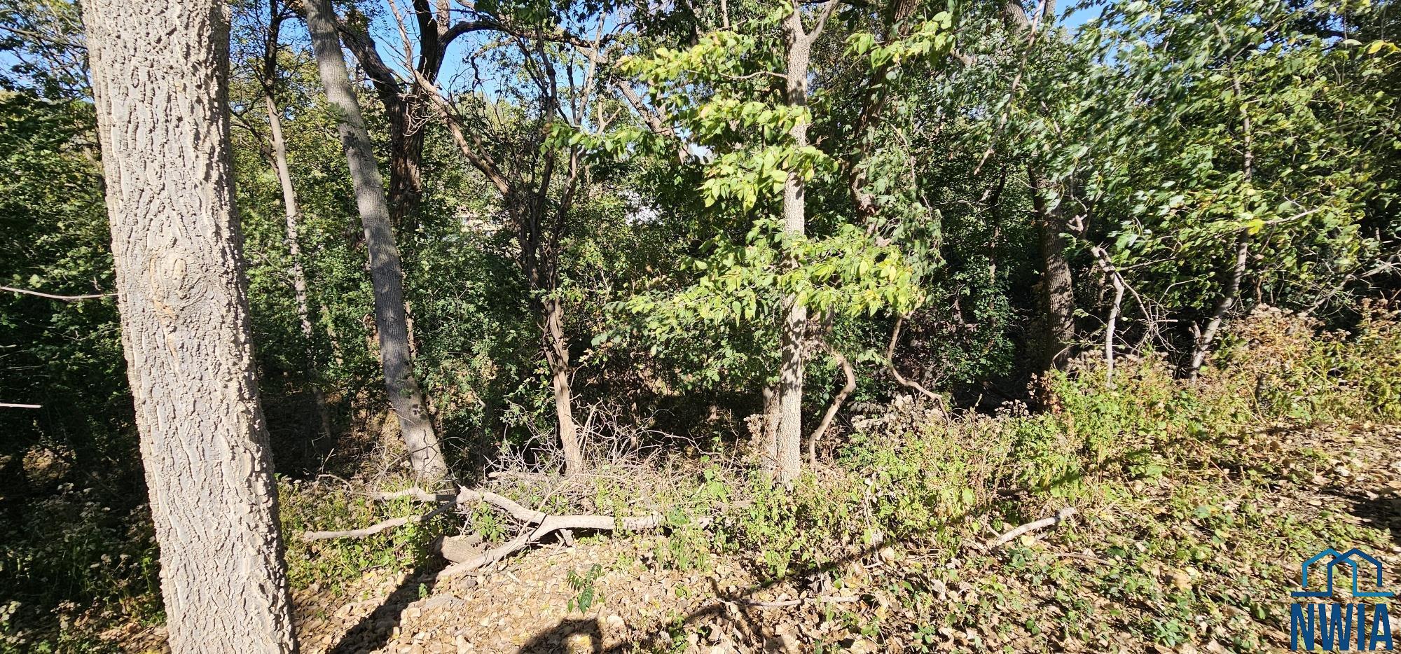 MLS #830607