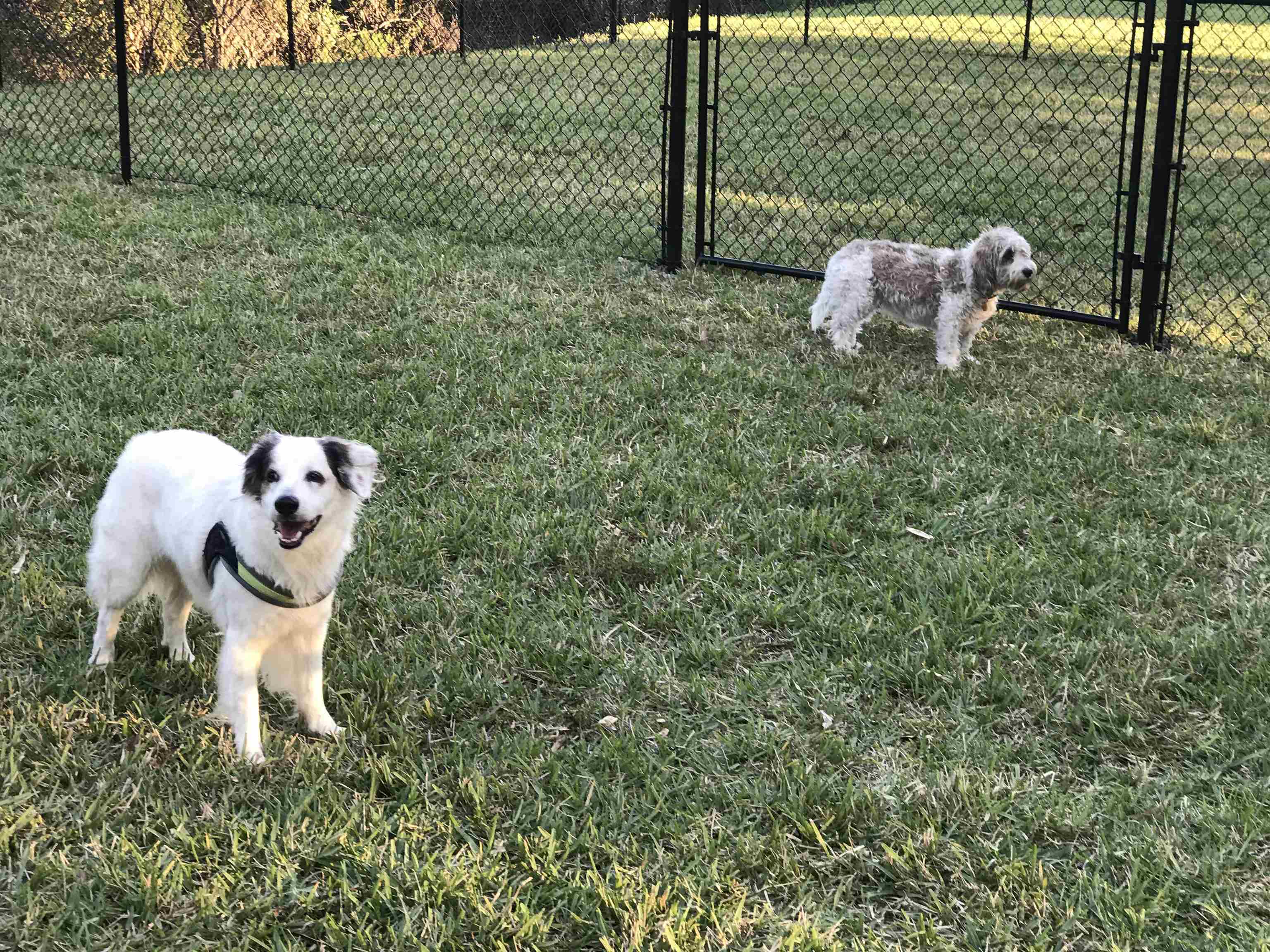 Fort Myers, Florida, 33908, United States, 2 Bedrooms Bedrooms, ,Residential,For Sale,1879880