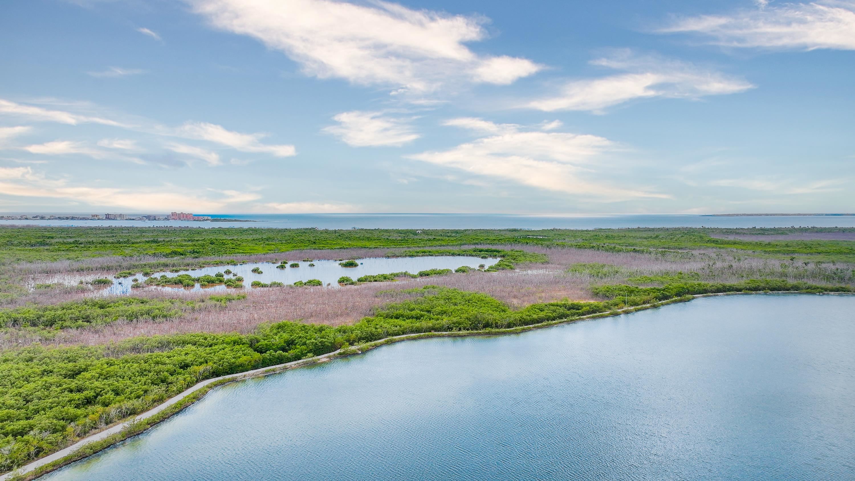 Fort Myers, Florida, 33908, United States, 3 Bedrooms Bedrooms, ,Residential,For Sale,2009877
