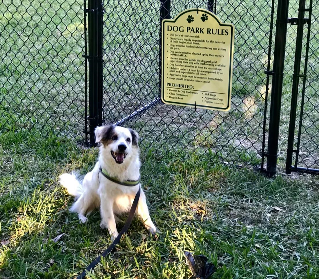 Fort Myers, Florida, 33908, United States, 3 Bedrooms Bedrooms, ,Residential,For Sale,2009877