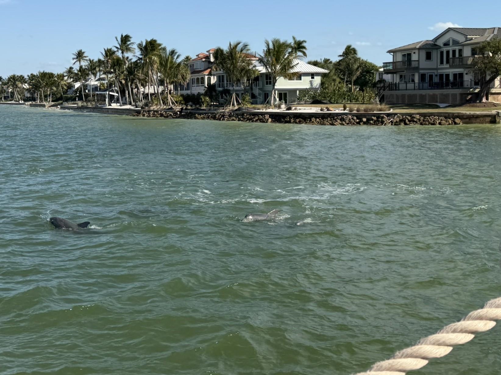 Sanibel, Florida, 33957, United States, 2 Bedrooms Bedrooms, ,Residential,For Sale,2012821