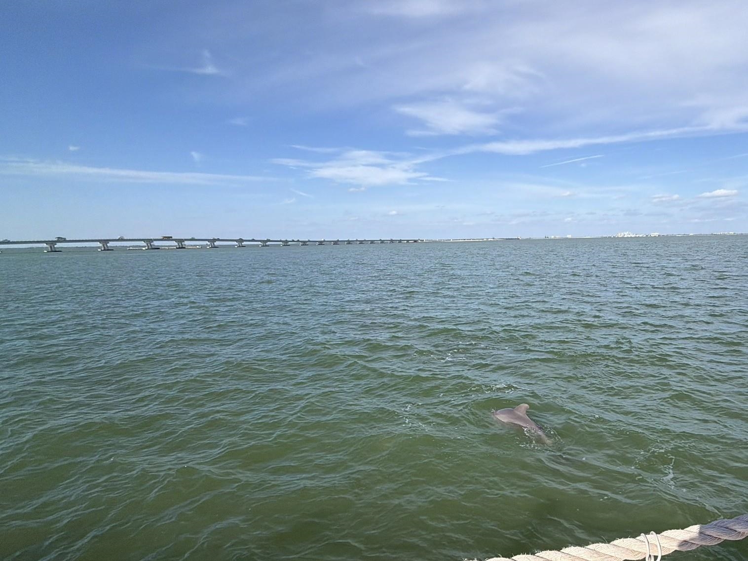 Sanibel, Florida, 33957, United States, 2 Bedrooms Bedrooms, ,Residential,For Sale,2012821