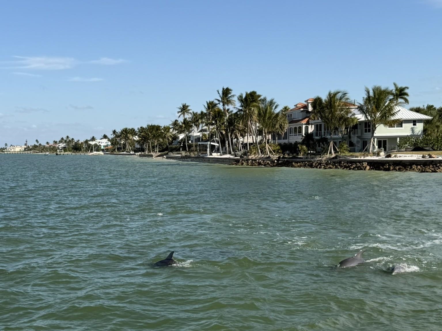 Sanibel, Florida, 33957, United States, 2 Bedrooms Bedrooms, ,Residential,For Sale,2012821