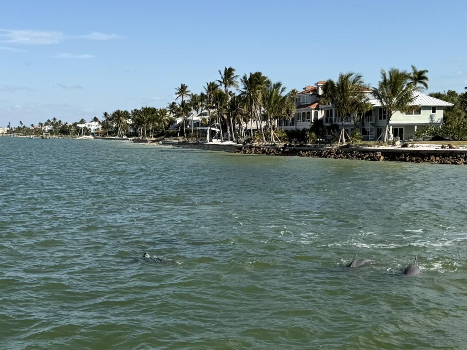 Sanibel, Florida, 33957, United States, 2 Bedrooms Bedrooms, ,Residential,For Sale,2012821